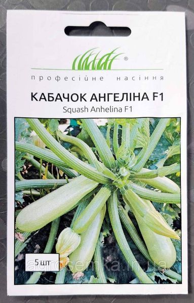 Семена Кабачок Ангелина F1 5 шт / Syngenta 10486 фото