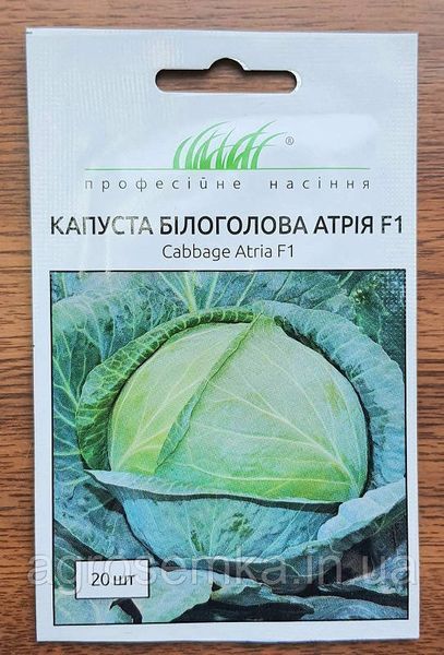 Семена Капуста Атрия F1 20шт / Seminis 10069 фото