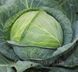 Семена Капуста Атрия F1 20шт / Seminis 10069 фото 3
