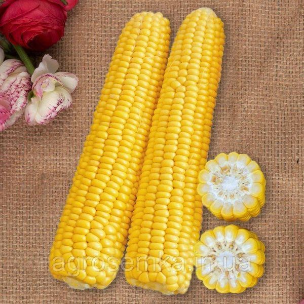 Кукурудза Раннє Насолоду F1 15шт/ Lark Seeds 10938 фото