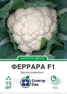 Цветная капуста Феррара F1, 15 шт Спектр сад / Hazera 11791 фото