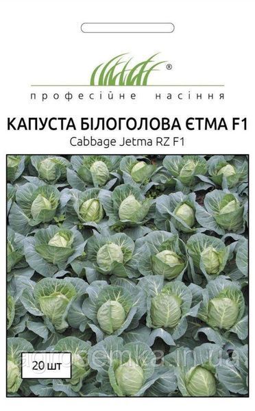 Семена Капуста Этма F1 20шт / Rijk Zvaan 10176 фото