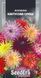 Жоржина Мінлива Махрова Суміш 0.5г 2850599408 фото