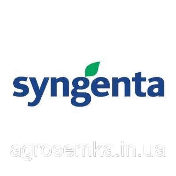 Семена Капуста Агрессор F1 20 шт / Syngenta 10018 фото