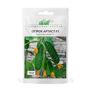 Насіння Огірок Артист F1 50 шт / Bejo Zaden 11193 фото