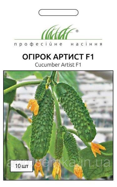 Семена Огурец Артист F1 50 шт / Bejo Zaden 11193 фото
