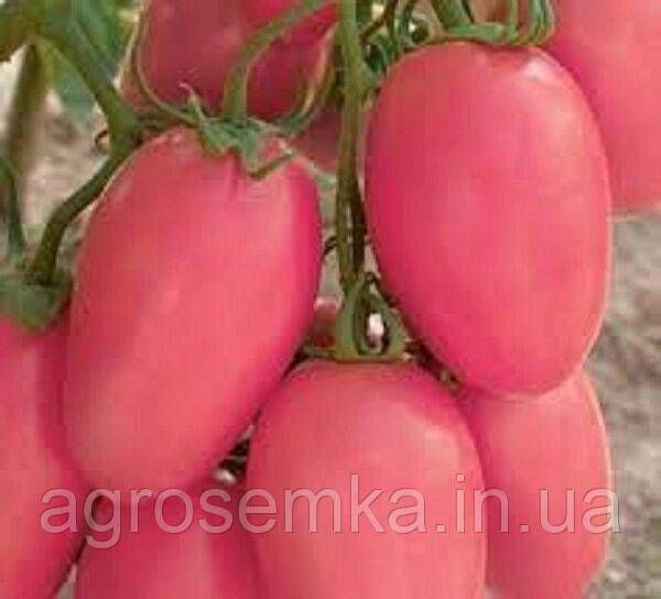 Семена Томат Новичок розовый 0.1г 10280 фото