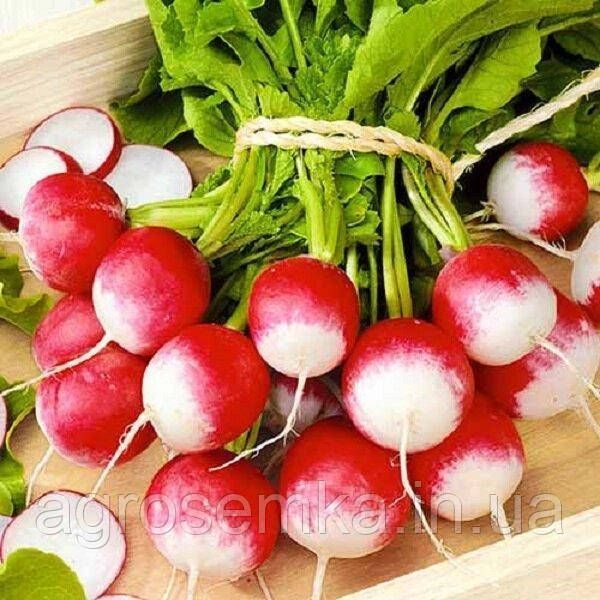 Семена Редиска Красная с белым кончиком 10г 2828092876 фото
