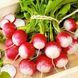 Семена Редиска Красная с белым кончиком 10г 2828092876 фото 2