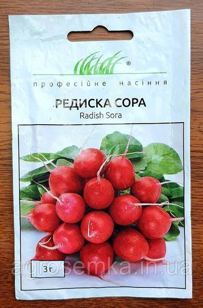 Семена Редис Сора 3г / Nunhems Zaden 10383 фото