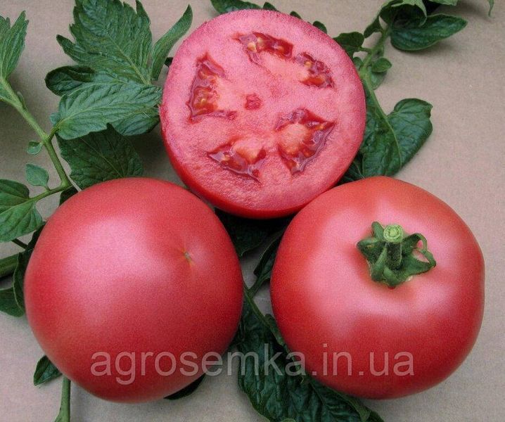 Томат Ляна рожева 0,1 г 10591 фото