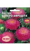 Астра Болеро Афродіта 10025 фото