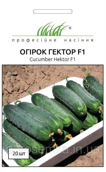Семена Огурец Гектор F1 20шт / Nunhems Zaden 10129 фото