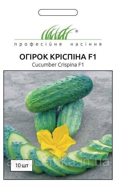 Семена Огурец Криспина F1 10шт / Nunhems Zaden 10233 фото