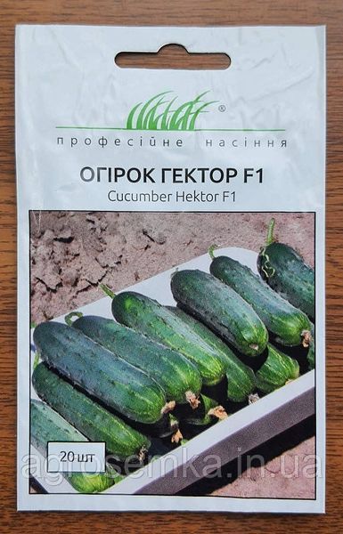 Семена Огурец Гектор F1 20шт / Nunhems Zaden 10129 фото