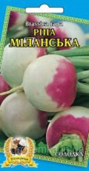 Ріпа Міланська 2г 10594 фото