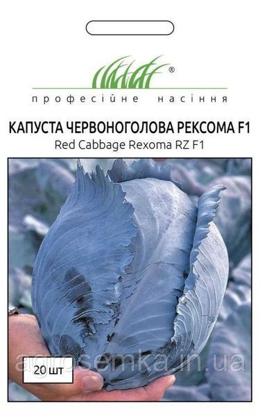 Семена Капуста краснокачанная Рексома F1 20шт / Rijk Zvaan 10234 фото