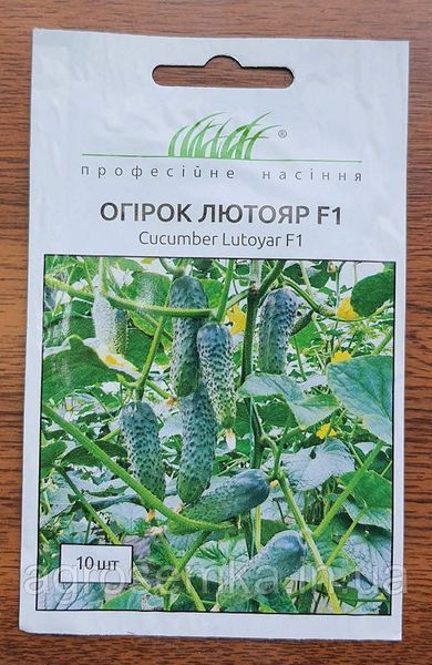 Семена Огурец Лютояр F1 10шт / Yuksel Seed 11197 фото