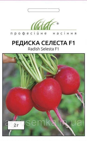 Семена Редис Селеста F1 2г / Enza Zaden 10921 фото