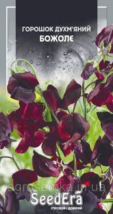 Горошок Духмяний Божолє 1г 2853052194 фото