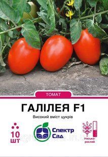 Томат Галилея F1, 10 шт Спектр сад / Hazera 2490285619 фото