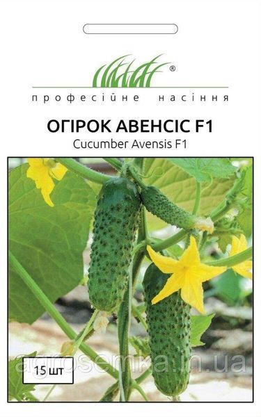 Семена Огурец Авенсис F1 50 шт / NongWoo Bio 10872 фото