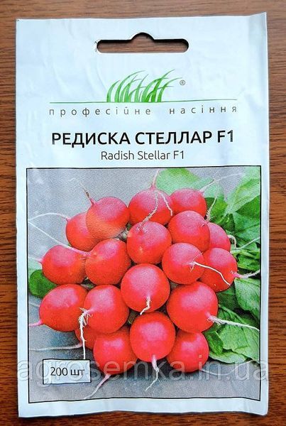 Семена Редис Стеллар F1 2г / Syngenta 10922 фото