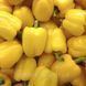 Семена Перец Оростар F1 / United Genetics 11201 фото 3