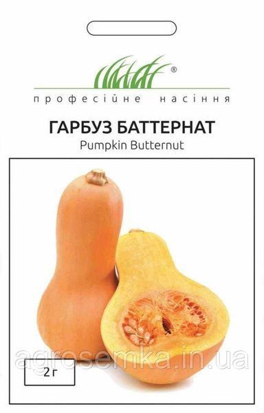 Семена Тыква Баттернат 2г / United Genetics 10939 фото