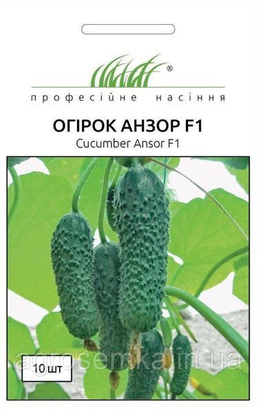 Семена Огурец Анзор F1 10 шт / Bejo Zaden 10548 фото