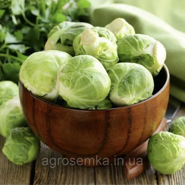 Капуста брюсельская Долорес 20шт / Moravo seeds 2771239468 фото