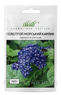 Гелиотроп Морской карлик 0.05г / Hem Zaden 11646 фото