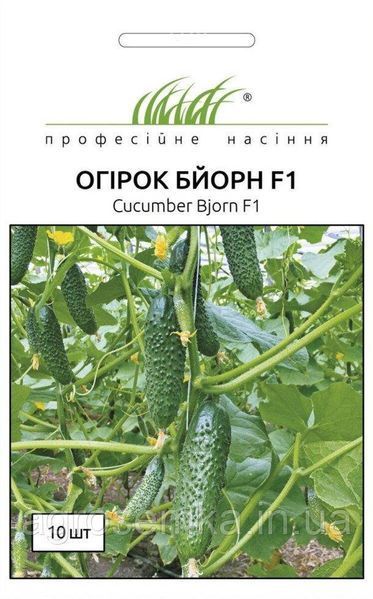 Огірок Бйорн F1 10шт / Enza Zaden 10876 фото