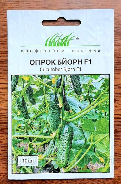 Огірок Бйорн F1 10шт / Enza Zaden 10876 фото