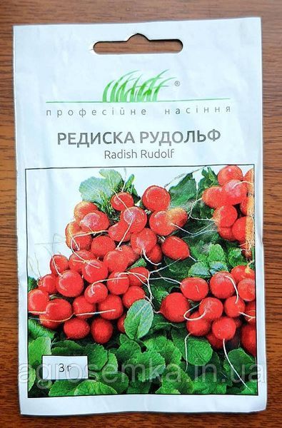 Семена Редис Рудольф 3г / Bejo Zaden 10926 фото