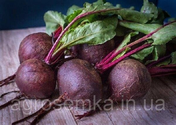Семена Свекла столовая Гопак 20г 10136 фото