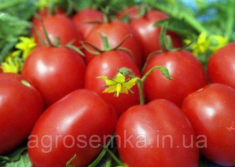 Томат Немадор 0.1г 2835537258 фото