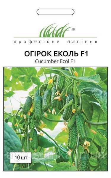 Семена Огурец Эколь F1 10шт / Syngenta 10877 фото