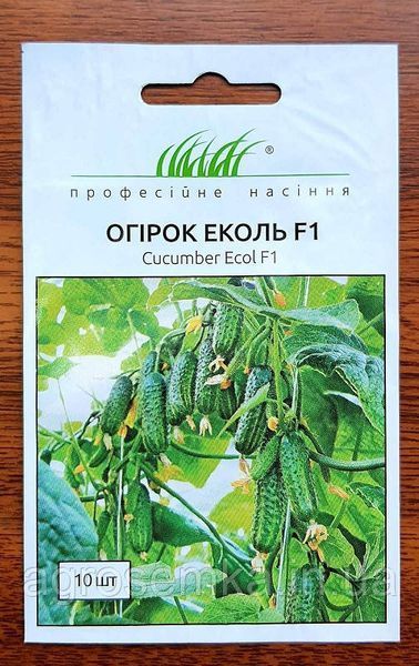 Семена Огурец Эколь F1 10шт / Syngenta 10877 фото