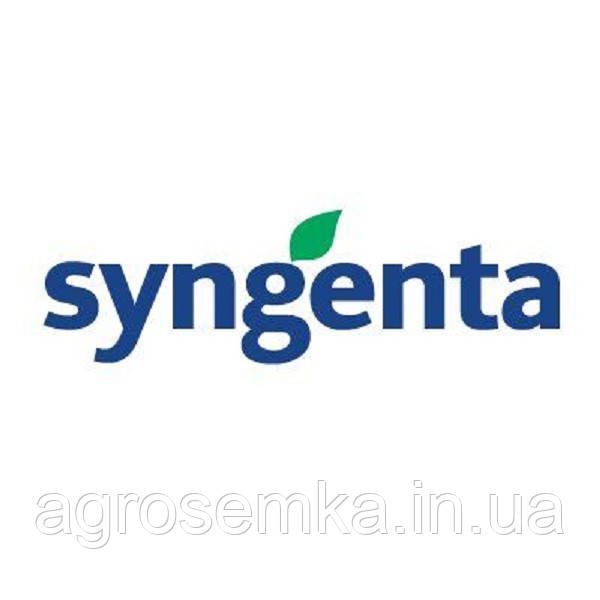 Горох Преладо 20шт / Syngenta 11043 фото