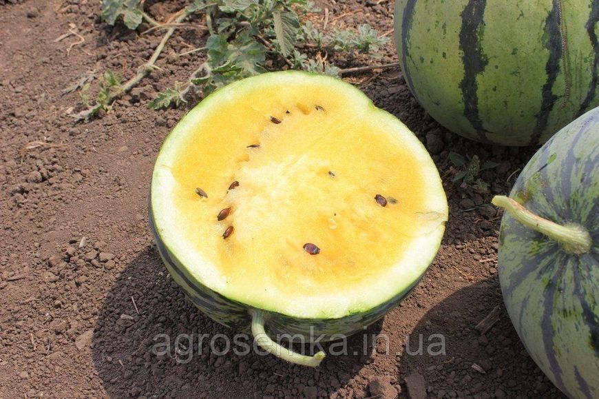 Семена Арбуз Оранж Кинг F1 8 шт / NongWoo Bio 10501 фото