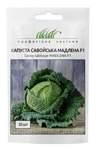 Савойская капуста Мадлена 20шт / Rijk Zwaan 2784390106 фото