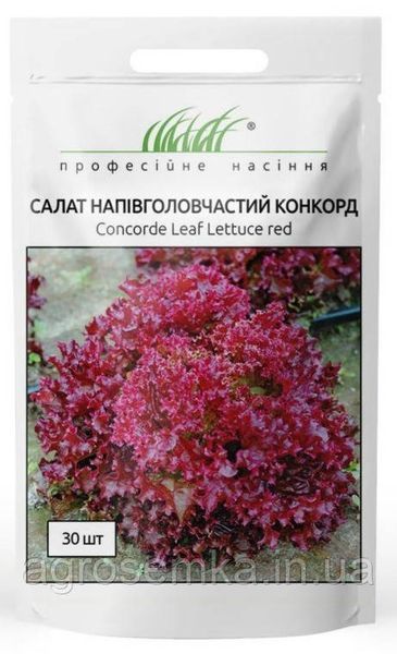 Салат Конкорд 30шт / Rijk Zwaan 11044 фото
