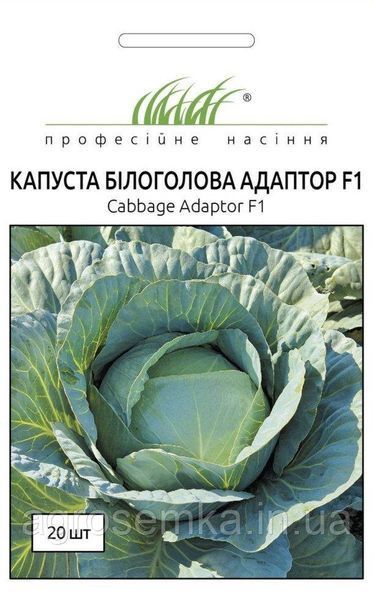 Семена Капуста Адаптор F1 20 шт / Syngenta 10503 фото