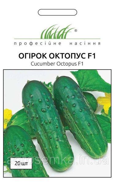 Семена Огурец Октопус F1 20шт / Syngenta 10880 фото
