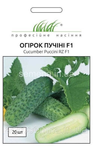 Семена Огурец Пучини F1 10 шт / Rijk Zvaan 10346 фото