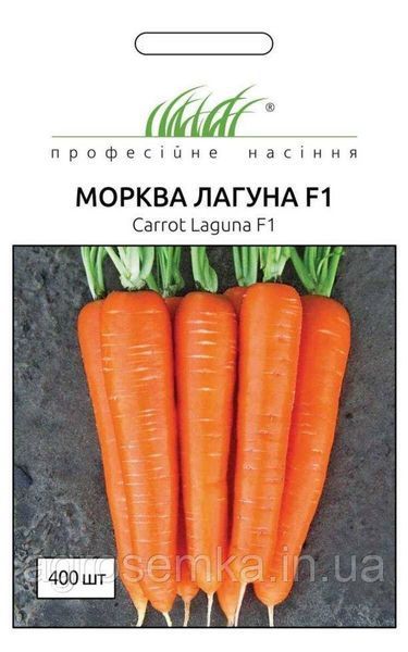 Семена Морковь Лагуна F1 0.5г / Nunhems Zaden 10245 фото