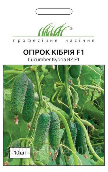 Семена Огурец Кибрия F1 10шт / Rijk Zvaan 10192 фото