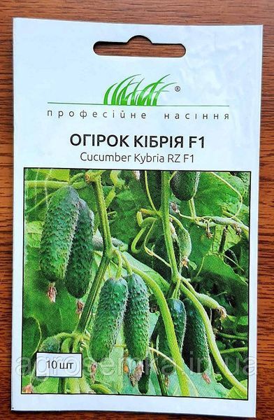 Семена Огурец Кибрия F1 10шт / Rijk Zvaan 10192 фото