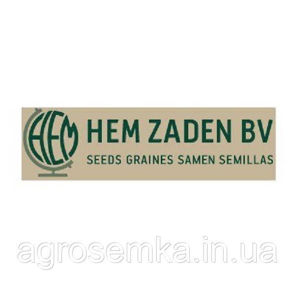 Базилик зеленый Мистер Барнс 0,5г / Hem Zaden 11046 фото